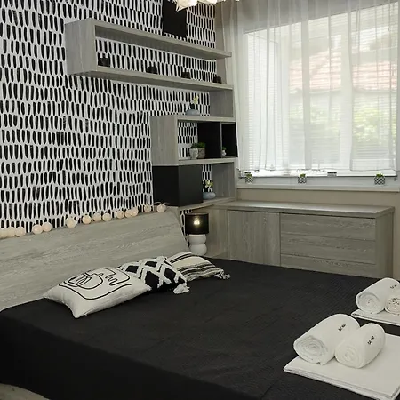 Black & White -1bd Flat In Center By Flat Mаnager Apartment